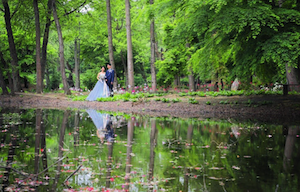 アーマ・テラス迎賓館のHPキャプチャ画像